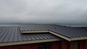 Best Emergency Roof Repair Services  in Petersburg, WV